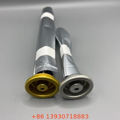 산소 감수성 제품 및 연장 보관 기간을위한 밸브에 여성 가방