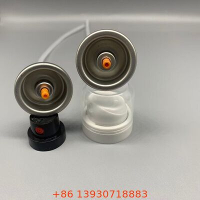 눈에 보이지 않는 커버력과 세탁 간 신선한 모발을 위한 드라이 샴푸 에어로졸 밸브