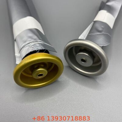 산소 감수성 제품 및 연장 보관 기간을위한 밸브에 여성 가방