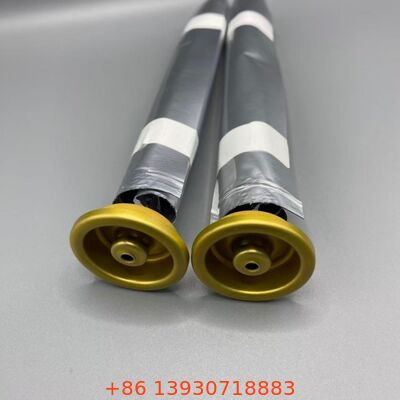 로션, 위생 스프레이 및 개인 관리용 밸브의 여성용 에어로졸 백