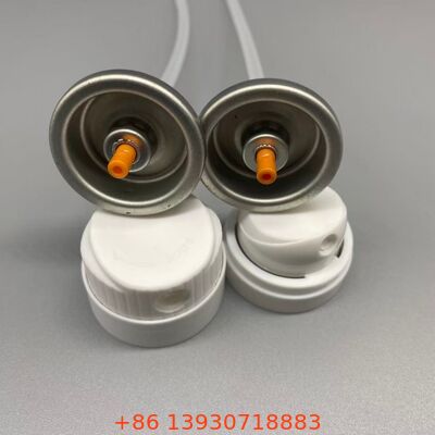 즉각적인 볼륨 회복 및 오일 흡수를 위한 드라이 샴푸 에어로졸 밸브